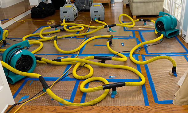 Professional Sewage Cleanup technician working in Latham, MO